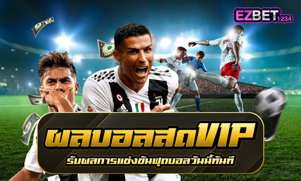 ผลบอลสด VIP